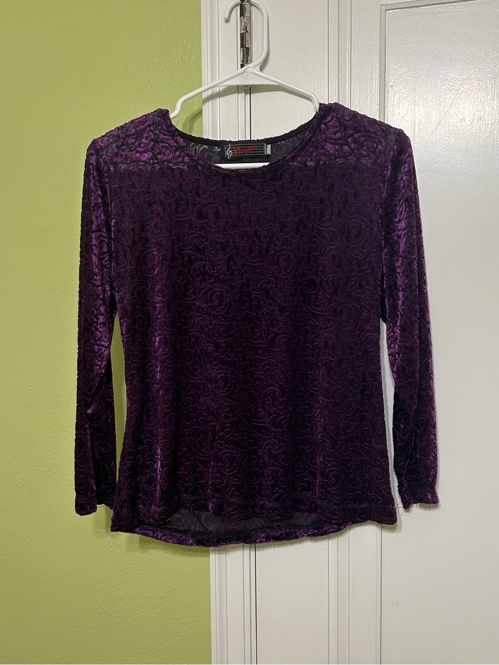 Whimsigoth 90’s Velvet Burnout Long-Sleeve Mesh Top